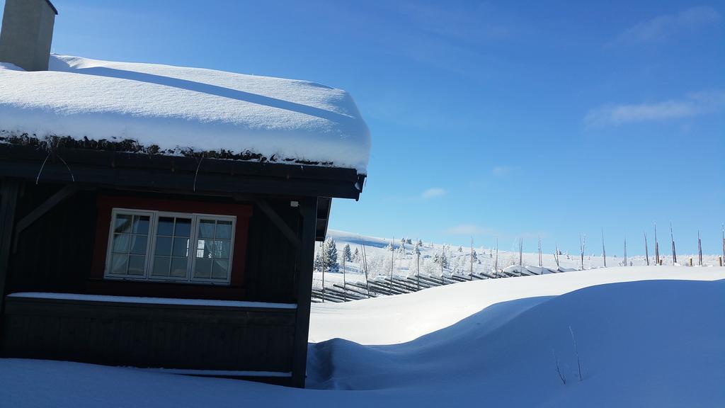 Hotel Gomobu Fjellstue à Ron Extérieur photo