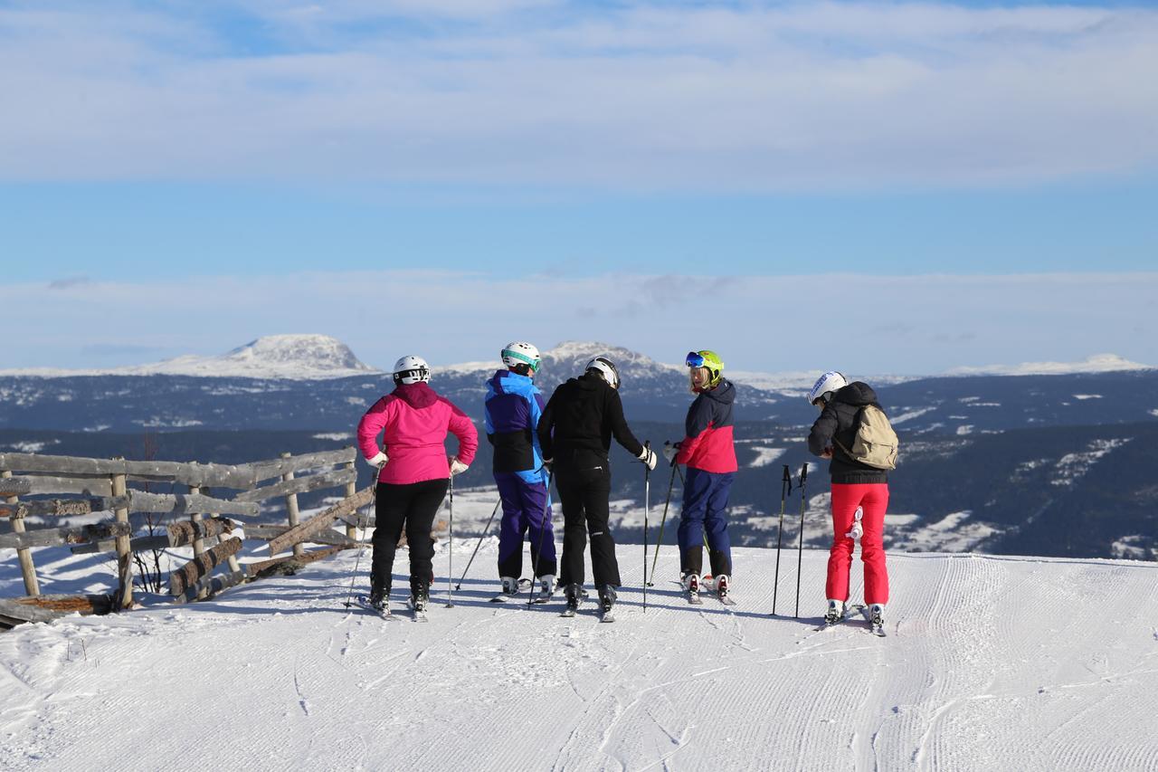 Hotel Gomobu Fjellstue à Ron Extérieur photo