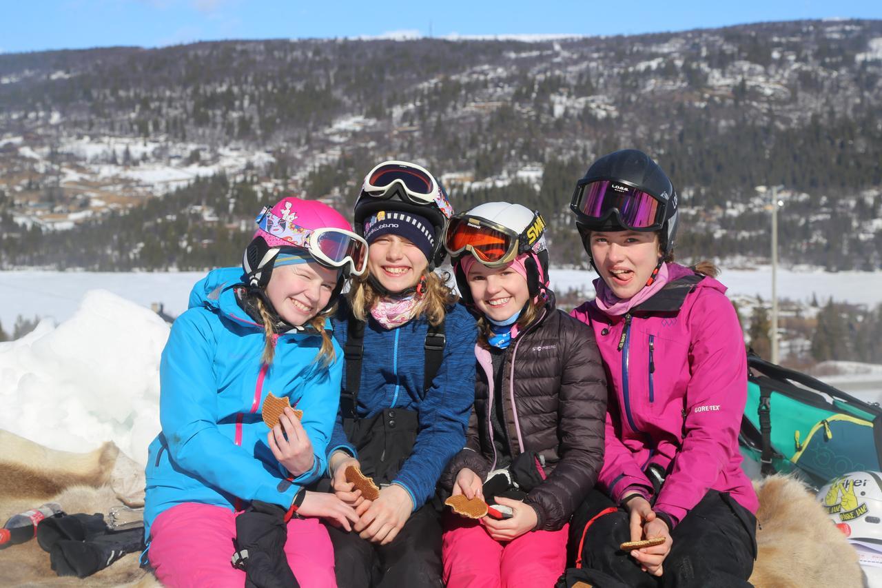 Hotel Gomobu Fjellstue à Ron Extérieur photo