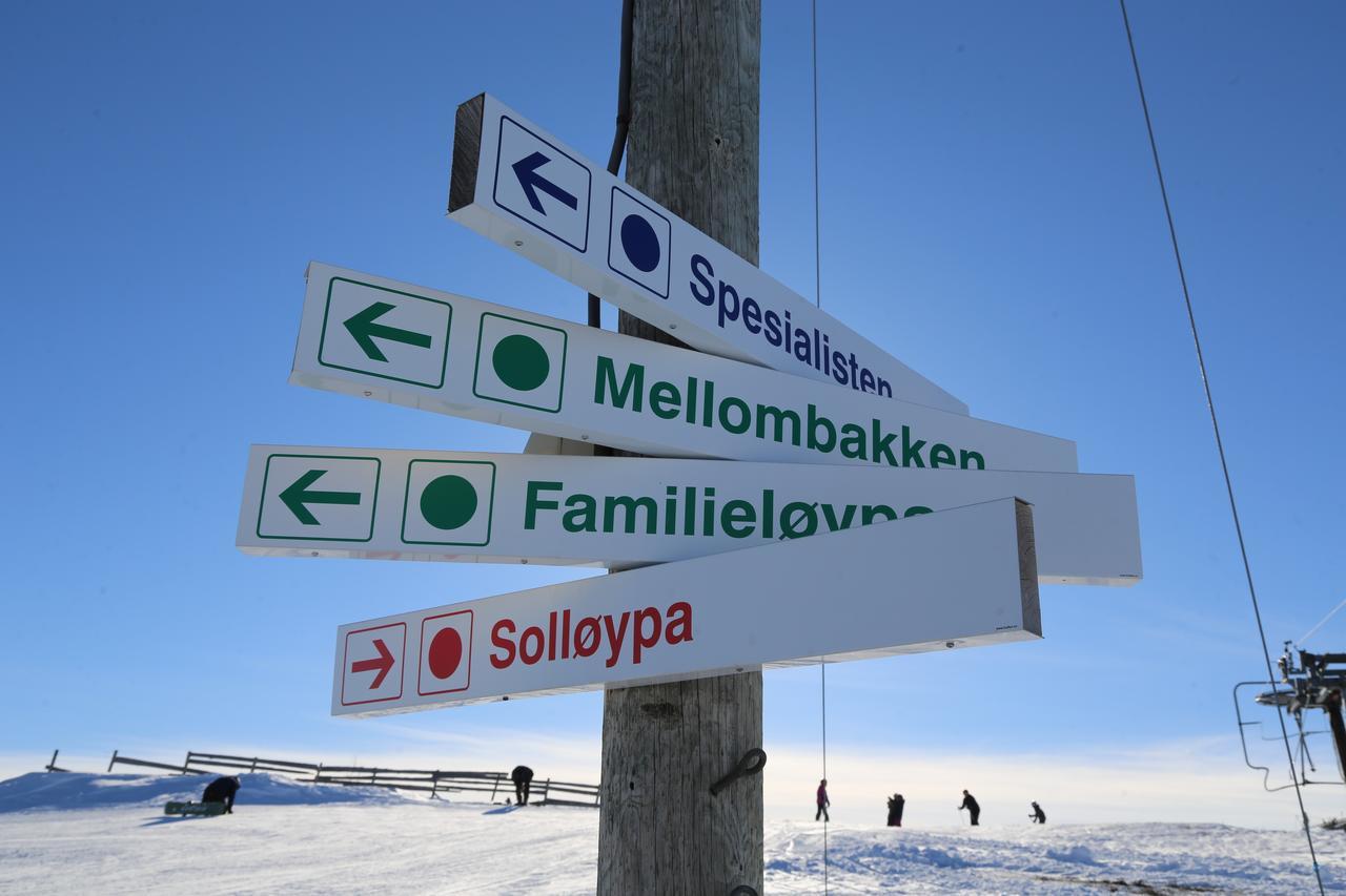Hotel Gomobu Fjellstue à Ron Extérieur photo