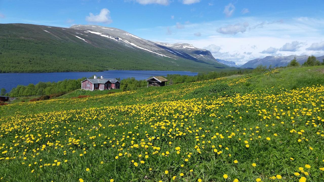 Hotel Gomobu Fjellstue à Ron Extérieur photo